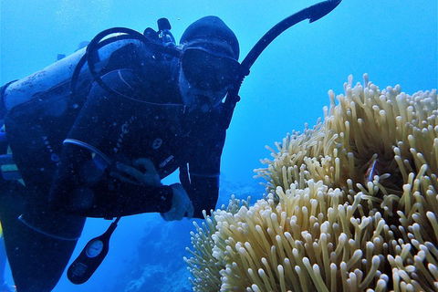 3 Day Whitsundays Sailing And Diving Adventure: Kiana - Restaurant Gold Coast 5