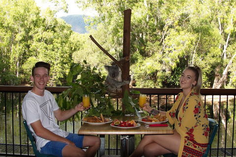 Hartley's Crocodile Adventures Breakfast With The Koalas - Restaurant Gold Coast 5