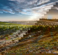 Perth to Margaret River Wine Tour - 2 Day Premium Boutique Wine Tour Experience - Restaurant Gold Coast