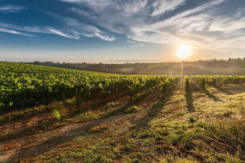 Perth To Margaret River Wine Tour - 2 Day Premium Boutique Wine Tour Experience - Restaurant Gold Coast 0