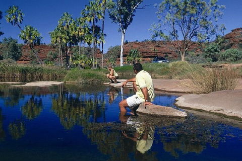 Palm Valley 4WD Day Tour - Restaurant Gold Coast 1