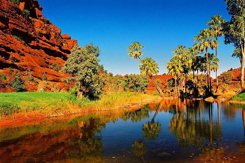 Palm Valley 4WD Day Tour - Restaurant Gold Coast 2