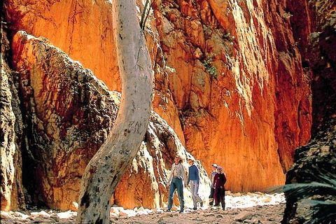 West MacDonnell Ranges Day Trip From Alice Springs - Restaurant Gold Coast 3