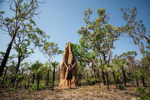 Litchfield National Park - Top End Day Tour From Darwin - Restaurant Gold Coast 5