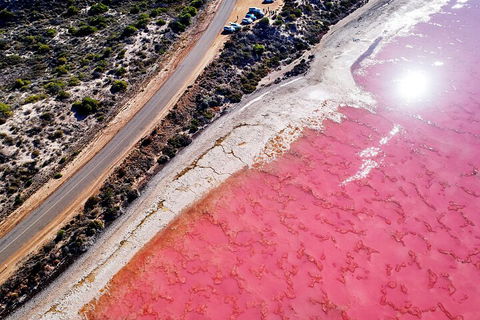 7-Day Exmouth Explorer Via Pinnacles Monkey Mia Ningaloo Reef Returning To Perth - Restaurant Gold Coast 0