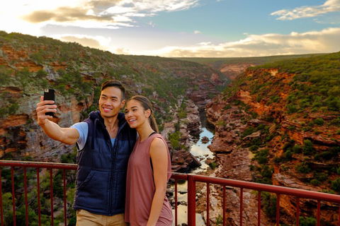 7-Day Exmouth Explorer Via Pinnacles Monkey Mia Ningaloo Reef Returning To Perth - Restaurant Gold Coast 5