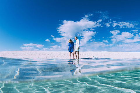 4-Day Coastal Loop Via Monkey Mia Wild Dolphins Kalbarri Pinnacles Perth Return - Restaurant Gold Coast 0