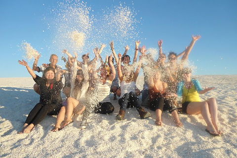 4-Day Coastal Loop Via Monkey Mia Wild Dolphins Kalbarri Pinnacles Perth Return - Restaurant Gold Coast 1