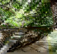12 Apostles Eco-Friendly Great Ocean Road Iconic Adventure from Melbourne - Restaurant Gold Coast
