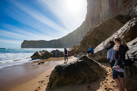 Small-Group Great Ocean Road And 12 Apostles Full-Day Tour From Melbourne - Restaurant Gold Coast 1