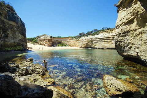 Small-Group Great Ocean Road And 12 Apostles Full-Day Tour From Melbourne - Restaurant Gold Coast 5