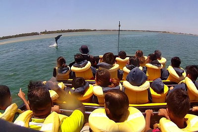 Gold Coast 55 Minute Adventure Jet Boat Ride