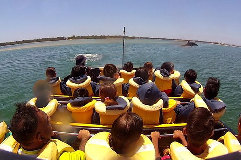 Jet Boat Express Ride - 30mins - Restaurant Gold Coast 5