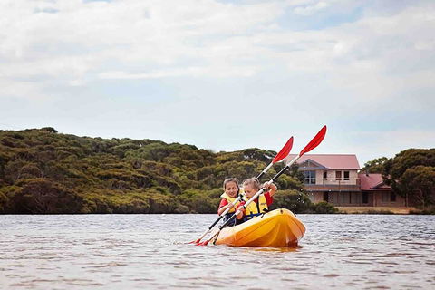 Kangaroo Island Self-Guided Kayaking On The Harriet River - Restaurant Gold Coast 3