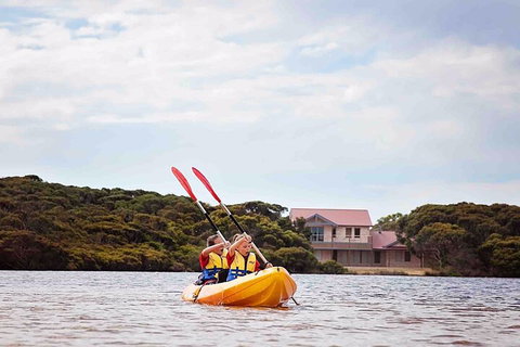 Kangaroo Island Self-Guided Kayaking On The Harriet River - Restaurant Gold Coast 5