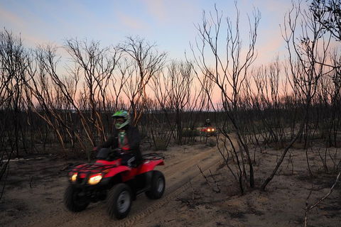 Kangaroo Island Quad Bike (ATV) Tours - Restaurant Gold Coast 1