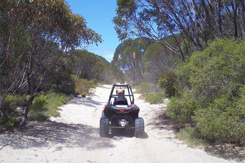 Kangaroo Island Quad Bike (ATV) Tours - Restaurant Gold Coast 4