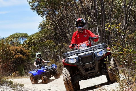 Kangaroo Island Quad Bike (ATV) Tours - Restaurant Gold Coast 5