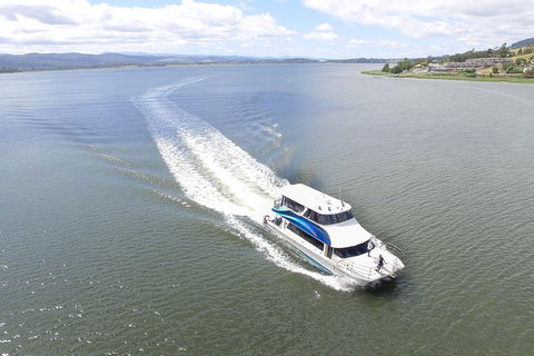 2.5 Hour Morning Discovery Cruise Including Sailing Into The Cataract Gorge - Restaurant Gold Coast 2