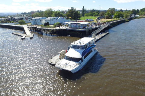 2.5 Hour Morning Discovery Cruise Including Sailing Into The Cataract Gorge - Restaurant Gold Coast 3