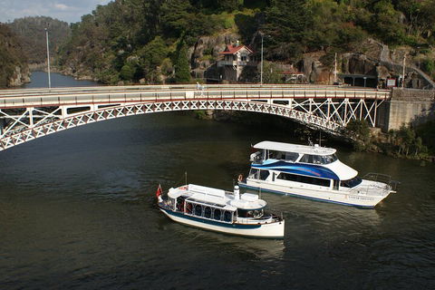 2.5 Hour Morning Discovery Cruise Including Sailing Into The Cataract Gorge - Restaurant Gold Coast 5