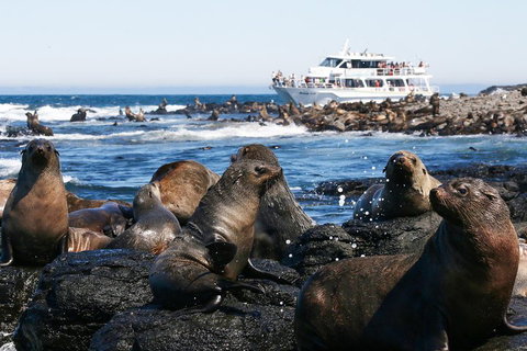 Phillip Island Seal-Watching Cruise - Restaurant Gold Coast 5