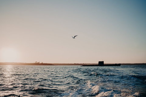 Phillip Island Twilight Cruise - Restaurant Gold Coast 1