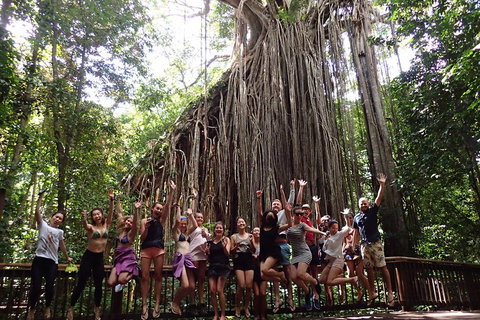 Atherton Tablelands Waterfalls Tour From Cairns - Restaurant Gold Coast 5