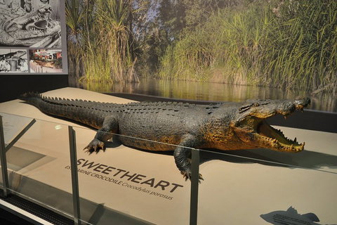 Explore Darwin City Sights Including Key Attractions - Restaurant Gold Coast 2