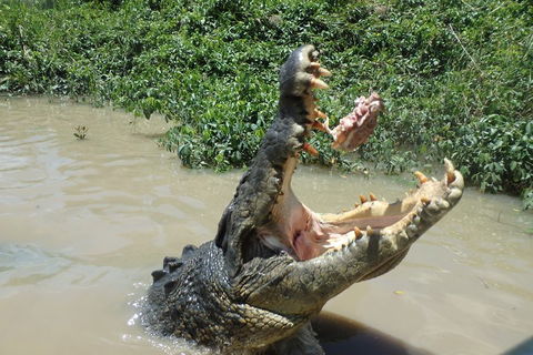 Litchfield And Jumping Crocodiles Full Day Trip From Darwin - Restaurant Gold Coast 3