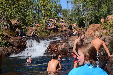 Litchfield And Jumping Crocodiles Full Day Trip From Darwin - Restaurant Gold Coast 5