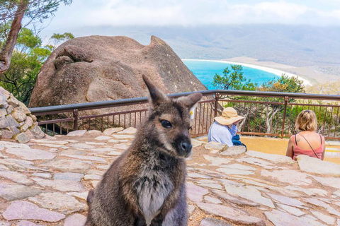 Wineglass Bay & Freycinet NP Full Day Tour From Hobart Via Richmond Village - Restaurant Gold Coast 0