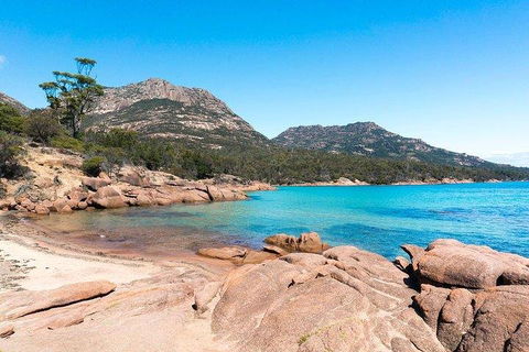 Wineglass Bay & Freycinet NP Full Day Tour From Hobart Via Richmond Village - Restaurant Gold Coast 5