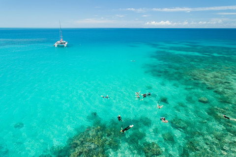 Full-Day Great Barrier Reef Sailing Trip - Restaurant Gold Coast 2
