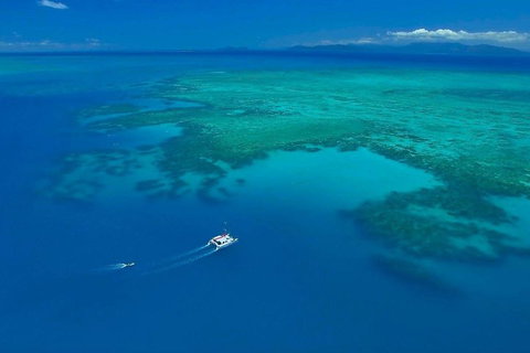 Full-Day Great Barrier Reef Sailing Trip - Restaurant Gold Coast 3