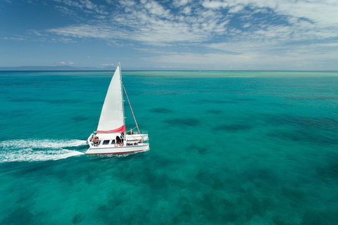 Full-Day Great Barrier Reef Sailing Trip - Restaurant Gold Coast 5