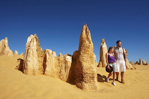 Pinnacles Day Trip From Perth Including Yanchep National Park - Restaurant Gold Coast 0
