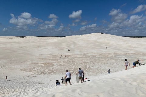 Pinnacles Day Trip From Perth Including Yanchep National Park - Restaurant Gold Coast 2