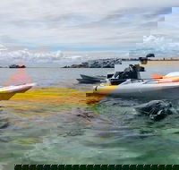 Seal Island and Penguin Island or Point Peron Sea Kayak Tour - Restaurant Gold Coast
