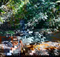 Aquaduck  Your choice of Gold Coast Rainforest Tour - Restaurant Gold Coast