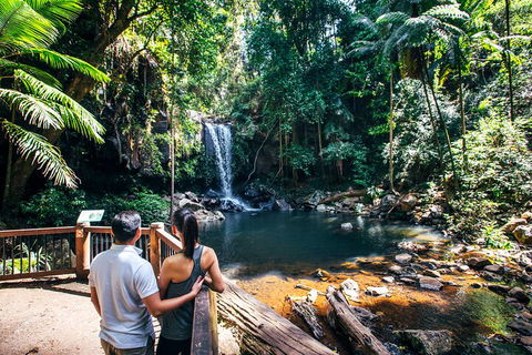 Aquaduck & Your Choice Of Gold Coast Rainforest Tour - Restaurant Gold Coast 0
