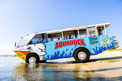 Aquaduck & Your Choice Of Gold Coast Rainforest Tour - Restaurant Gold Coast 3