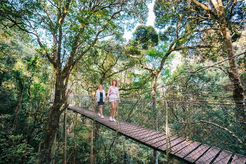 Aquaduck & Your Choice Of Gold Coast Rainforest Tour - Restaurant Gold Coast 4