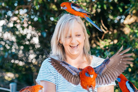 Aquaduck & Your Choice Of Gold Coast Rainforest Tour - Restaurant Gold Coast 5