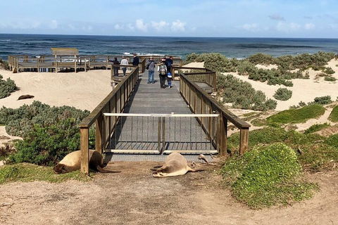 Kangaroo Island 4WD Tour - Best Of KI - Restaurant Gold Coast 2