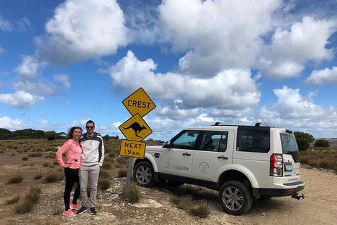Kangaroo Island 4WD Tour - Best Of KI - Restaurant Gold Coast 5