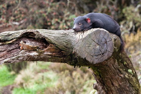 Day Keeper Tour - Restaurant Gold Coast 0