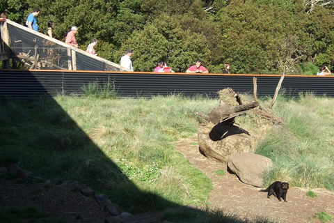 Day Keeper Tour - Restaurant Gold Coast 2