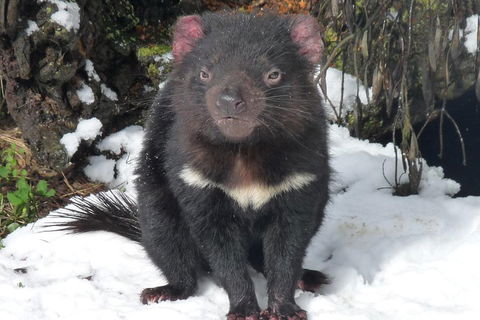 Day Keeper Tour - Restaurant Gold Coast 4