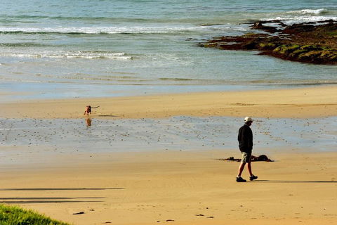 Ultimate Reverse Direction - 12 Apostles, Great Ocean Road - Small Group Tour - Restaurant Gold Coast 1